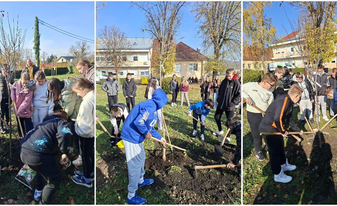 Nastavljamo ozelenjavati školsko dvorište
