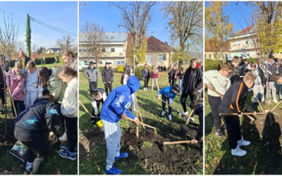 Nastavljamo ozelenjavati školsko dvorište