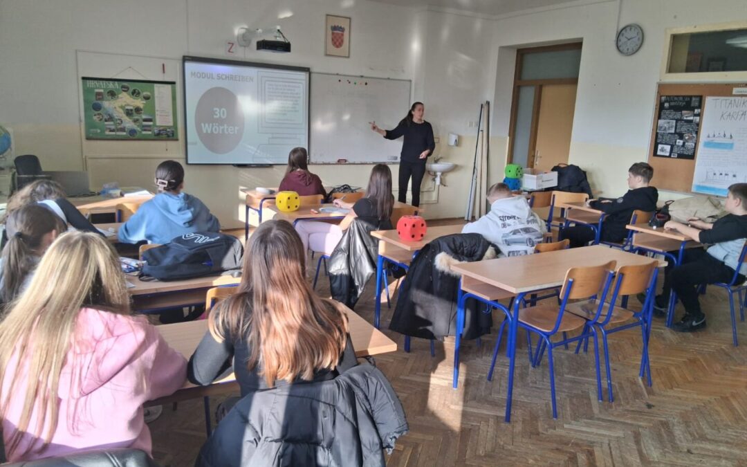 Suradnja s Goethe-Institutom